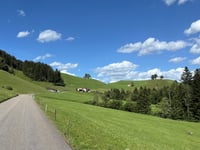 Hochhamm da Schwandsbrugg