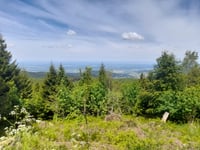Hochkopf vanuit Geroldsau