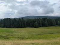 Hochmoor da Mondsee