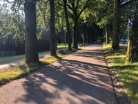 Hoeferlaan przez Openluchtmuseum