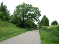 Hofstraat da Nijswiller