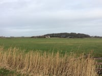 Hoge Berg przez Schansweg