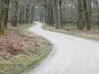 Hoge Duvel depuis Apeldoorn