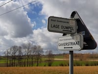 Hoge Dumpel von Lage Dumpel