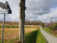 Hoge Dumpel von Lage Dumpel