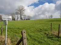 Hoge Dumpel von Lage Dumpel