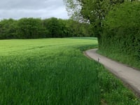 Hogeweg über Sweikhuizen