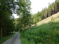 Hogrebe-Platz from Obersorpe
