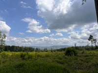 Hohe Egge von Bad Münder