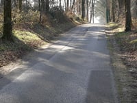 Hohe Heide