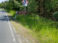 Hohe Wurzel von Bad Schwalbach