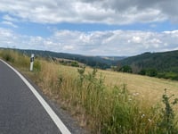 Hohe Wurzel from Bleidenstadt