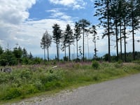 Hohe Wurzel da Wiesbaden