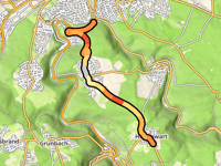 Hohenwart von Pforzheim