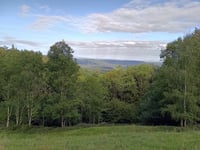 Hoher Geisberg von Welschensteinach