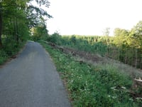 Hoher Knochen von Ohlenbach