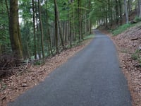 Hoher Knochen von Ohlenbach