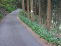 Hoher Knochen von Ohlenbach