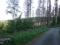 Hoher Knochen von Ohlenbach