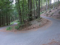 Hoher Knochen von Ohlenbach