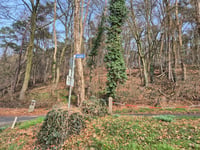 Hohldörn