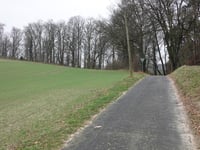 Hohldörn