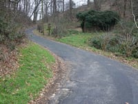 Hohldörn