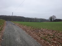 Hohldörn