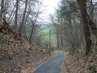 Hohldörn