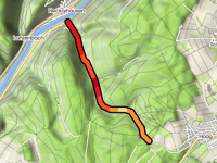 Hohle Buche z Neckar