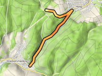 Hohle Buche von Waldwimmersbach