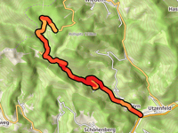 Hohtann von Aitern