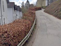 Høje Skodsborgvej