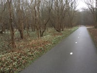Hollands Duin da Noordwijk aan Zee