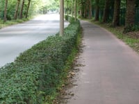 Hollebeekstraat depuis Rumst