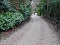 Holleweg z Blaricum