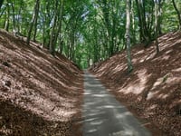 Holleweg von Kasteel Doorwerth