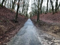 Holleweg von Kasteel Doorwerth
