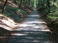 Holleweg von Kasteel Doorwerth