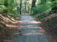 Holleweg von Kasteel Doorwerth