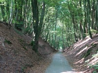 Holleweg von Kasteel Doorwerth