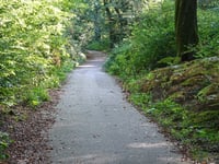 Holleweg von Kasteel Doorwerth