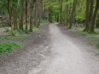 Holleweg von Hoorneboegse Heide