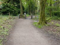 Holleweg von Hoorneboegse Heide