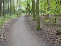Holleweg von Hoorneboegse Heide