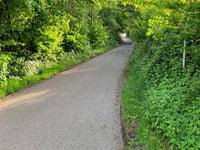 Holleweg von Kelmond