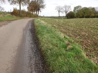Holleweg Schin op Geul