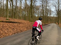 Rozenbos / Holleweg