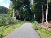Rozenbos / Holleweg