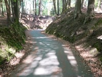 Rozenbos / Holleweg